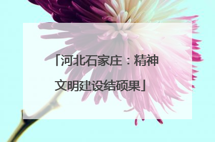 河北石家庄：精神文明建设结硕果